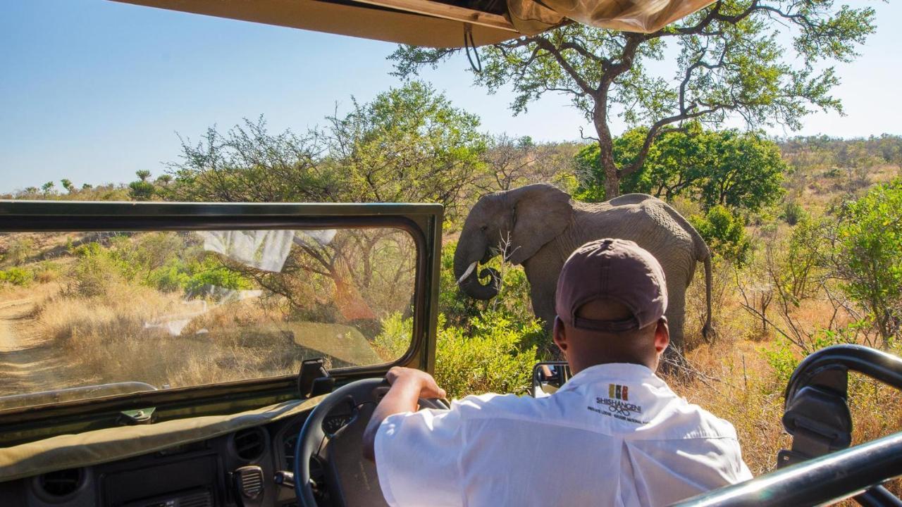 Shishangeni By Bon Hotels, Kruger National Park 科马蒂普特 外观 照片